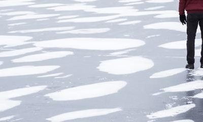 Episode neigeux et télétravail : Que dit la loi ?
