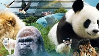 Le choix du best-of-breed pour le ZooParc de Beauval.