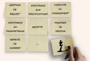 Dispositif AMOA projet SIRH : gestion de projet, assistance en spécifications, conduite du changement, assistance au paramétrage, recette, montées de version, reprise de données