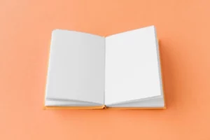 livre blanc